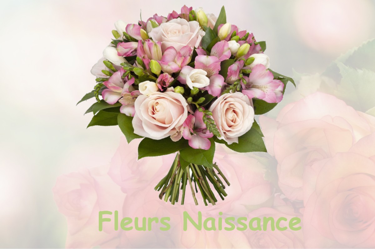 fleurs naissance SAINT-DALMAS-LE-SELVAGE