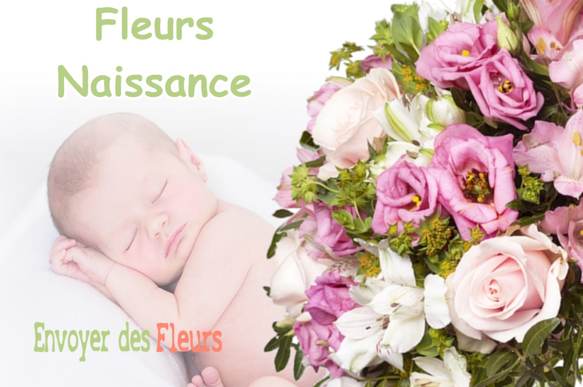 lIVRAISON FLEURS NAISSANCE à SAINT-DALMAS-LE-SELVAGE