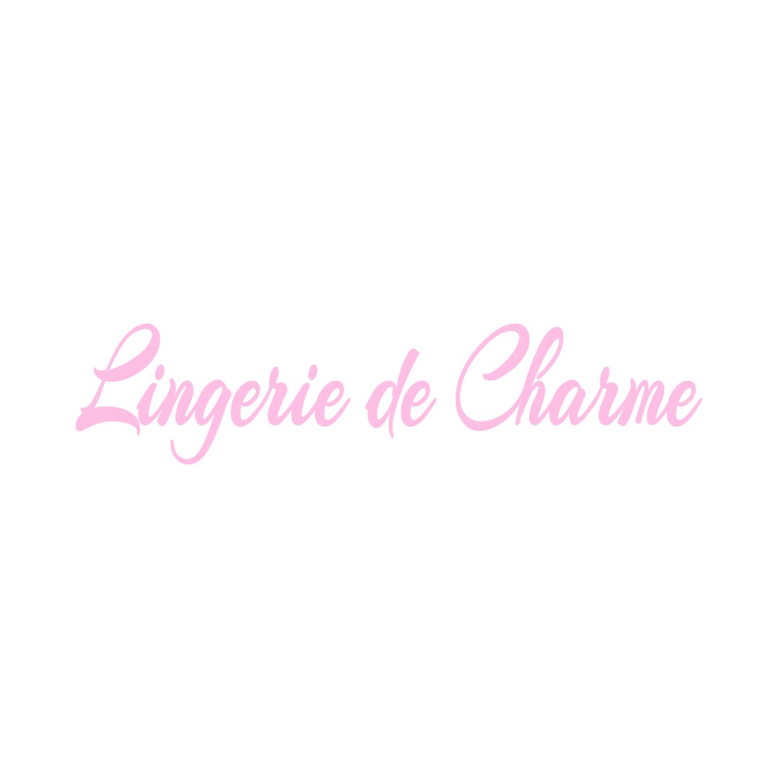 LINGERIE DE CHARME SAINT-DALMAS-LE-SELVAGE